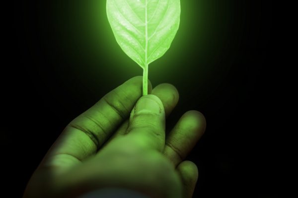 Illustration d'une feuille avec un rayonnement lumineux