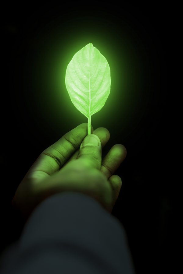 Illustration d'une feuille avec un rayonnement lumineux