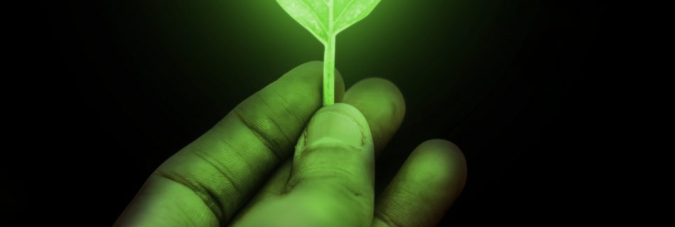 Illustration d'une feuille avec un rayonnement lumineux